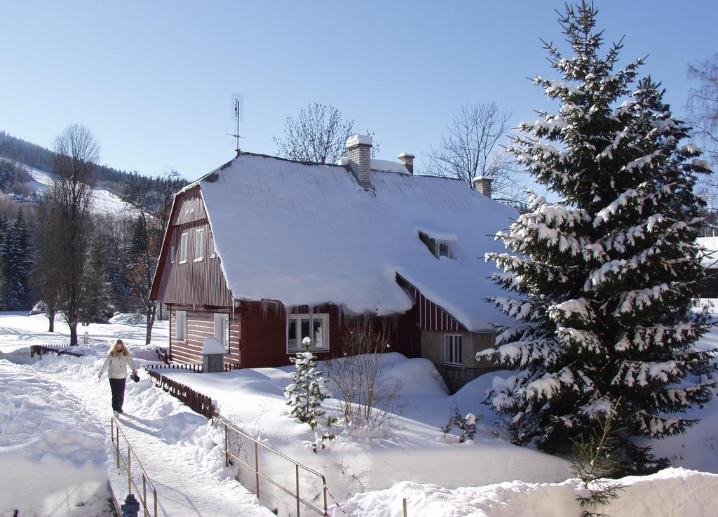 Hotel Penzion Pod Mustky à Harrachov Extérieur photo